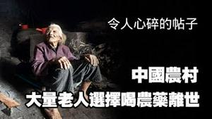 【令人心碎的帖子】中国农村，大量老人选择喝农药离世。2025.11.01NO3118