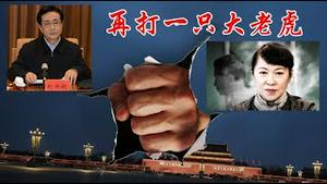 习近平新年要打下的第一只副国级的大老虎是谁？算不算是恩将仇报？《建民论推墙2910》