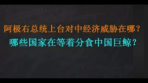 深度：吹响集结号， 哪些国家在等着分食中国巨鲸？(20231125第1118期)