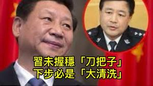 亲信王小洪昇任公安部长，但习近平远未掌握刀把子！另三战狼酷吏降职，内斗血雨腥风即将开始！ （一平论政2022/6/24)