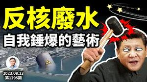 智商感人！反核废水、禁日本水产品，锤爆中国两产业！抢盐潮准确标示现政权基本盘；（文昭谈古论今20230825第1297期）