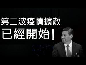 南宁卫健委主任被撤职，因为洩露疫情机密。匆忙复工恶果显露，重庆公司群聚感染！社区自救互助，有心人先不谈政治，将来才能实现政治目标！ （一平快评，2020/02/14）