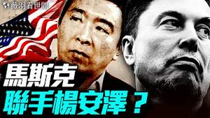 警惕！马斯克和杨安泽合体？马斯克组建美国党，会不会成为第二个「台湾的民众党」？｜薇羽看世间 20250707