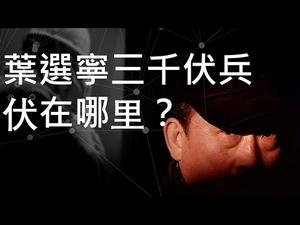 向心真名应是叶向心！叶选宁三千伏兵伏在哪里？红三代极少从政，有何玄机？叶家率先弃船，老谋深算！（一平快评48，2019/12/04）