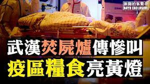 🉐️红会千万口罩送出不到10%，都哪去了？疫区粮食亮黄灯！殡仪招聘条件「不怕鬼」；病毒死者解剖有何新发现；武汉方舱医院再建10个；方斌诗欣赏 |新闻拍案惊奇 大宇