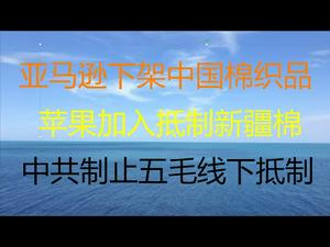 财经冷眼：亚马逊下架中国棉织品 ，苹果加入抵制新疆棉！中国制止五毛线下过激行为，服软信号？（20210328第488期）！