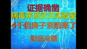 财经冷眼：病毒合成证据找到，武汉实验室泄露为元凶，4000倍庚子索赔来了！（20200418第213期）