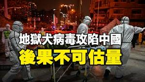 🔥🔥地狱犬病毒攻陷中国❗军队也沦陷了❗恐数百万人死亡❗医疗系统全面崩溃 后果不可估量❗