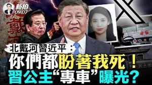 习近平有危险？江派老人蠢蠢欲动！曾庆红及诸多大佬怕亡党；最像“习公主”的一则推文！海外盛传，「习明泽」开推特帐号？李克强游敦煌影片遭删；政经全面挫败，习在北戴河怒喝：都盼著他S｜新闻拍案惊奇 大宇