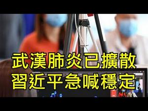 武汉肺炎捂不住了 习近平强调稳定意味著疫情已经规模扩散，世卫组织变味成中共政治的工具（江峰漫谈20200120第99期）