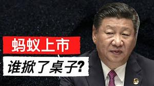 震撼弹: 蚂蚁集团暂缓上市 谁掀了这场盛宴的桌子(字幕)/China Suspends Jack Ma’s Ant Group IPO From Going Ahead/王剑每日观察/20201103