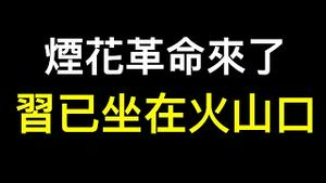 网传元老之子十问决策者！「烟花革命」登场,无数革命在路上……国人不再恐惧！！！