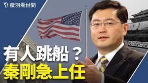 第二个投诚美国的是他？谣言会成遥遥领先的预言吗？好兄弟塔利班会面释放新信号；秦刚上任迫不及待；张家界成南京疫情二传手，万名游客成高危。｜薇羽看世间 第343期 20210730