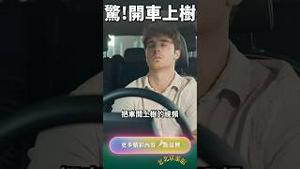 党国黑科技，车上树！