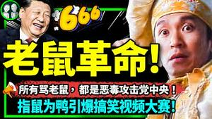 指鼠为鸭形势逆转！党中央出马替鼠报仇？搞笑视频大战电视认罪，正义小学老师火了！（老北京茶馆/第950集/2023/06/06）