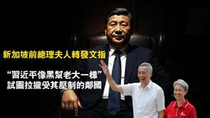 新加坡前总理夫人转发文指：“习近平像黑帮老大一样”试图拉拢受其压制的邻国。2025.04.21NO2669