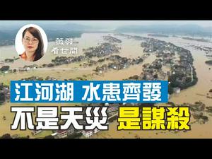 【第86期】中国大陆半壁江山泡水中，内部官员大实话让人惊出一身冷汗！这不是一场天灾，也不是简单的人祸，而是一种谋杀！| 薇羽看世间 20200720