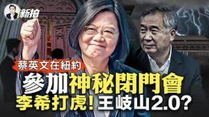 中共说蔡英文“不老实”，威胁「坚决回击」！AI“越狱”很危险？！马斯克连署叫暂停，OpenAI掌门人警告：出现无法解释的推理能力；蔡在纽约酒店门口遇抗议，神秘闭门会，白宫也紧张？｜新闻拍案惊奇 大宇