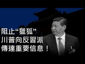 阻止”猎狐行动“，川普向反习派发出重要信号。开始策反中共内斗了！ （一平快评170，2020/10/30)