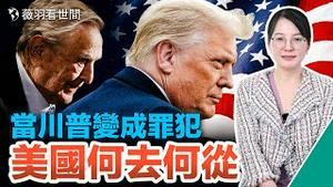 川普可能周三被正式起诉，检察官布拉格的背后金主是他；民主党籍律师写书披露搞定川普的策划。｜薇羽看世间 第627期 20230321