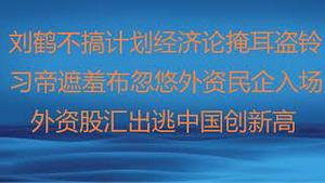 财经冷眼：刘鹤不搞计划经济论掩耳盗铃 ，习帝遮羞布忽悠外资民企入场 ！   外资股汇出逃中国创年度新高，A股要小心暴跌！（20230118第957期）