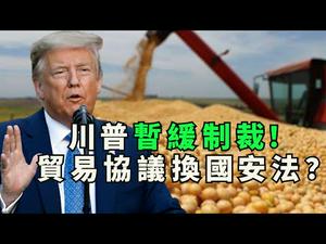 暂缓对中共官员制裁！杨洁篪的大豆再次打动川普；博尔顿出书川普要习近平助选真假？香港国安法与抖音大选搅局能让川普回心转意么（江峰漫谈20200623第192期）