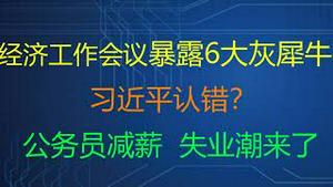 财经冷眼：经济工作会议暴露6大灰犀牛，习近平认错？公务员大幅减薪，政府鼓励开滴滴！ 失业问题越来越严重了！（20211210第688期）