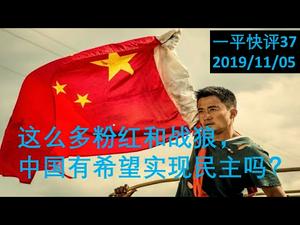 这么多粉红和战狼，中国还有希望实现民主吗？（一平快评37，20191105）