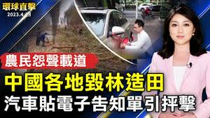 中国各地毁林造田 农民怨声载道；探访「黑鲔鱼故乡」东港食鱼教育展17日登场；世界品牌创始人：神韵把我们和创世主相连。【 #环球直击 】｜ #新唐人电视台