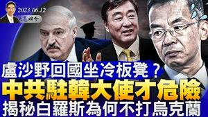 卢沙野回国坐冷板凳？中共驻韩大使才危险；一切取决于乌克兰的反攻；揭秘白罗斯为何不打乌克兰（政论天下第1028集 20230612）天亮时分