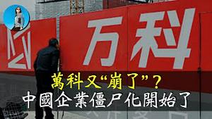 万科为什么还没倒？万科其实是个“良心企业”，秘密都在财报里！中国企业僵尸化开始了！｜小翠时政财经 [20250111#652]