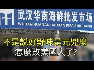 华南海鲜市场拆除与新一轮政治动向； 距离中共远近与感染机会大小有关系么？任志强的砲声能传多远？（江峰漫谈20200309第132期）