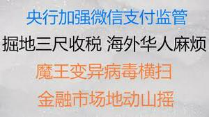 财经冷眼：央行加强微信支付宝收款码监管，小商家和海外华人都要小心了，背后有大棋！“魔王”变异病毒横扫，疫苗全部失效？全球风险资产通杀，风暴刚刚开始！（20211127第679期）