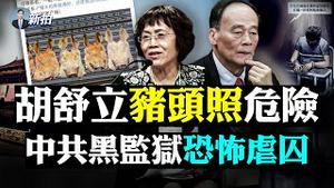 💥民进党被中共恐吓要“政治让位”！否则进地狱之门；习解释600天不出国原因；曾庆红家喊“至暗时刻”；拜习会将登场；美军揭台海两个危险时间点；擦枪走火机会大增；美中瑞士会谈6小时｜新闻拍案惊奇 大宇