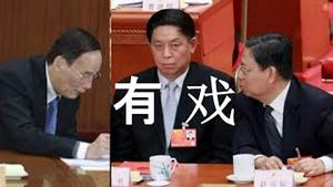 有戏？纪官公开影射栗战书！赵王联手夹击。习近平准亲家遭贬。陈敏尔前景不妙