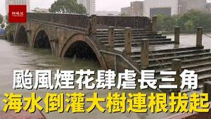 台风烟花登陆长三角，海水倒灌河水暴涨，街道被淹大树连根拔起，小心出行注意安全