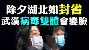 🧧🥟大年除夕湖北4000万人「禁足」👣医护市民外送情报！武汉肺炎病毒完美伪装SARS，英媒担心来自实验室外洩！研究指2月感染者大涨，上海会失控？医生分享抵抗肺炎方法|新闻拍案惊奇 大宇