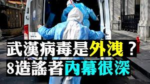 🈲政府内秘密: 5米安全距离、重庆潜伏期更短⁉️ 武汉观众6点爆料；新病毒发现者，曾疑虑「人工病毒」外洩！中国疾控中心主任高福「揭」人际传染瞒报铁证；8个造谣者幕后不简单 | 新闻拍案惊奇 大宇