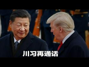 川习通话，内容曝光，冠状病毒，束手无策，等待天暖，也许有效，天命已近，崩溃在即！《建民论推墙823》