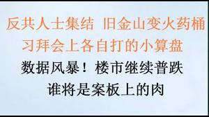 反共力量大集结，旧金山变火药桶！习、拜会各自打的小算盘！数据风暴，楼市继续普跌，谁将是案板上的肉！(20231113第1113期)