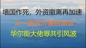 财经冷眼：铁拳来了，外资这回要跑一大半！又一国货币暴跌崩盘！华尔街大佬辱共引风波！（20211125第677期）