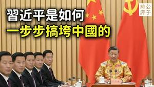 亡国之君习近平：中共最后一代领导人如何成功搞垮中国，努力断送改革开放，正在带著13亿中国人一起陪葬...