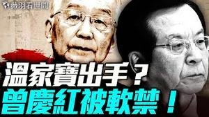 曾庆红被谁软禁？罗帅宇事件再冲热搜不简单，涉中共高层生杀夺权大戏！｜薇羽看世间 20250616