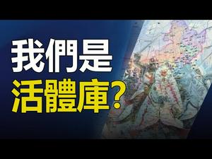 ??千年预言直指今朝乱象❗我们都是活体库存❓❗《圣殿骑士预言系列5》