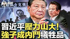 前总理是“躺鎗”！习近平vs曾庆红，政治搏击下悲惨逝去？双方都有“暗器”可用！习有秘密机构，曾有“东厂”残兵；中共官场震撼、人人自危；历数近年体制内不明逝去者！习现在危机感更大｜新闻拍案惊奇 大宇