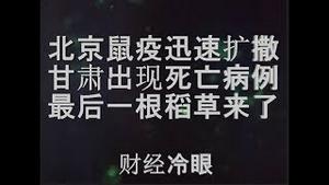 财经冷眼：北京鼠疫迅速扩撒，甘肃现死亡病例，最后一根稻草终于来了！（20191116第91期）