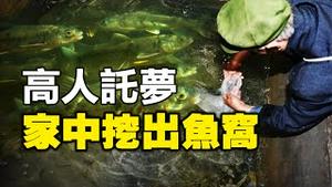 🔥🔥突发❗重庆天坑 两万斤鱼凭空消失❗高人讬梦 老头家中挖出地下鱼窝❗