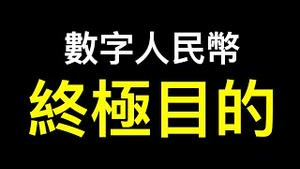 数字人民币的终极目的…… 经济崩溃让迫使其加速推出？