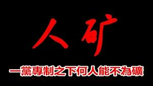 人矿火了！正部级官员也就一个纸糊的棺材，共产天下谁不为矿？《建民论推墙1877》