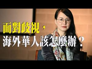 【第29期】给海外华人的一点建议 | 薇羽看世间 20200511（字幕）